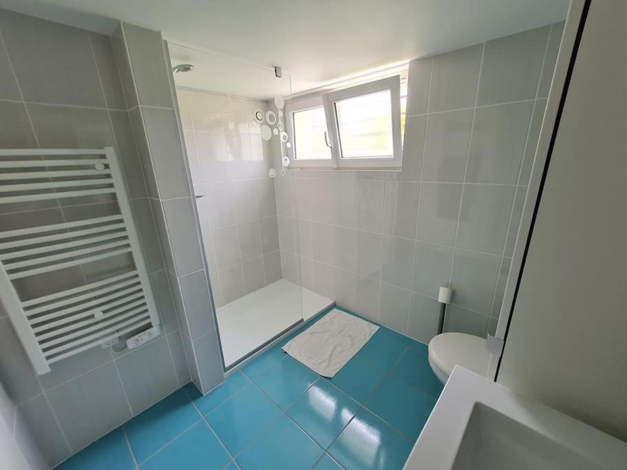 Appartement Appt 2 Pieces Avec Jardin Royan